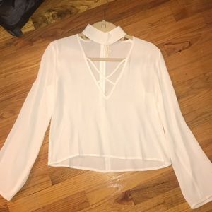 Olivaceous White Top